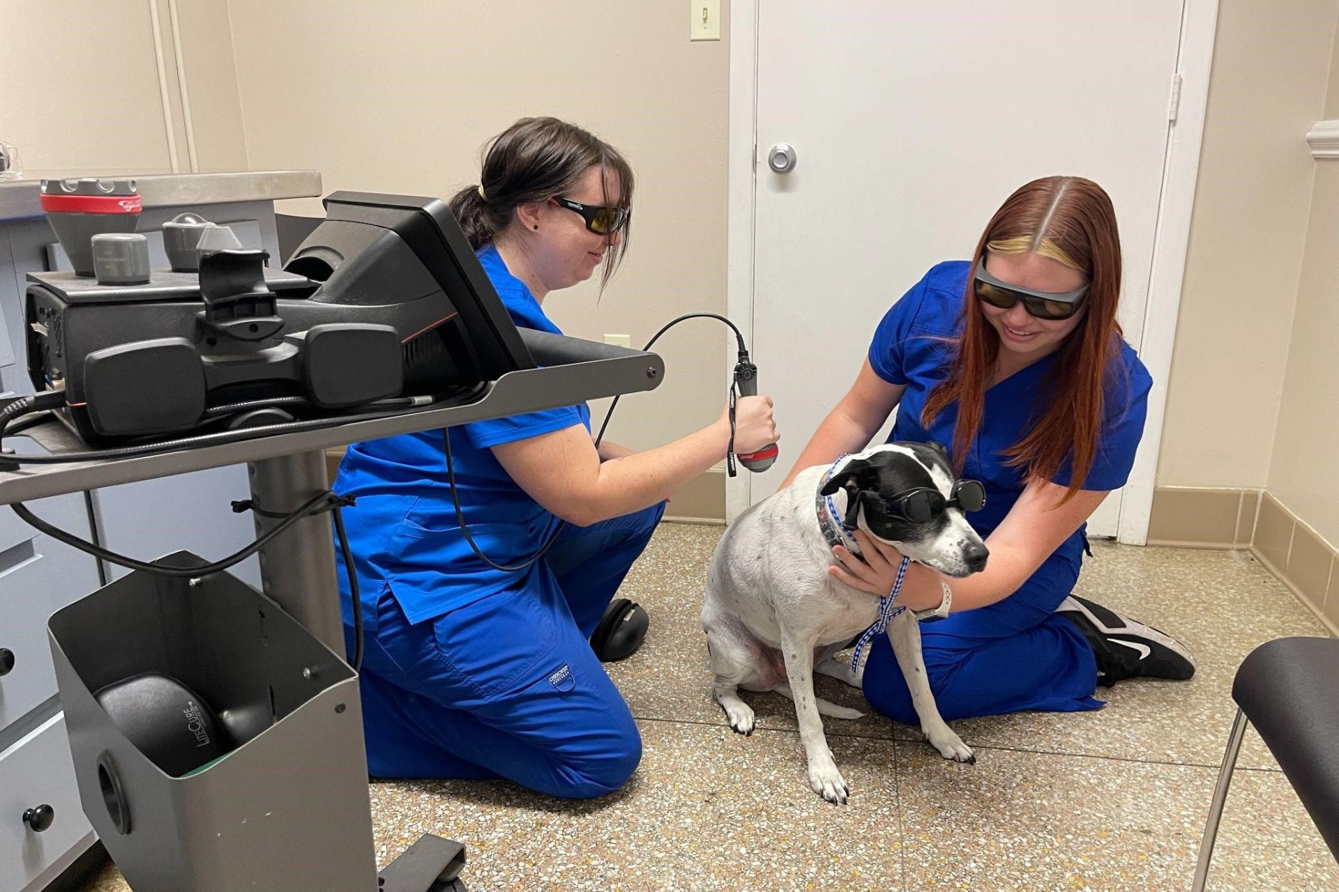 two women wearing goggles and blue scrubs holding a dog