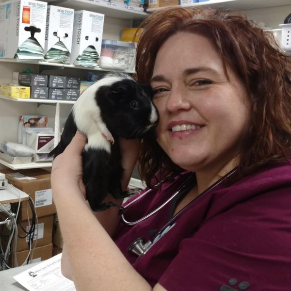 veterinarian holding a guinea pig